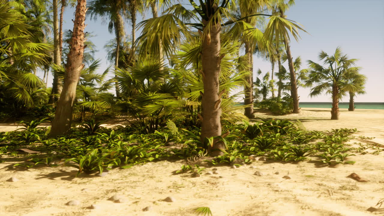 playa tropical con palmeras