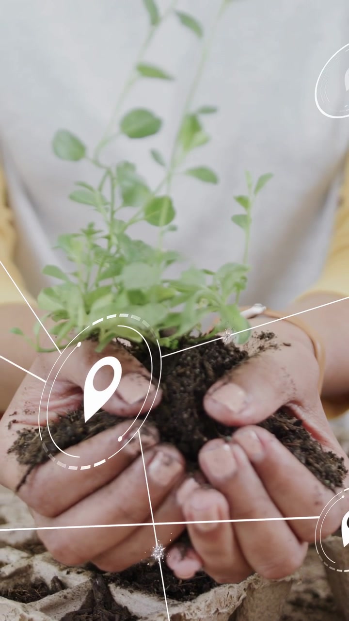 Video verticale: Donna che raccoglie terra, piantando piantine da un vassoio in vasi, icone che mostrano il giardinaggio