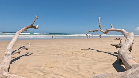 static beach scene with people and driftwood