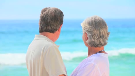 mature couple looking at the sea