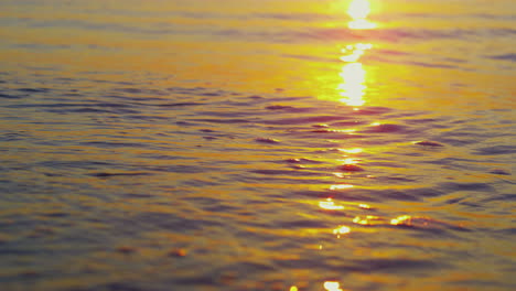 Closeup-ocean-waves-breaking-sand-beach-in-slow-motion-at-orange-sunset-dusk