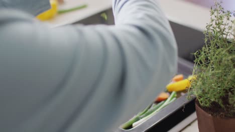 asian senior woman putting rosemary herb over vegetable salad in the kitchen at home