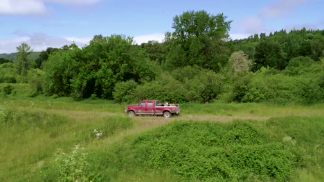 pick-up truck with animals at backside drive through dirt road at countryside during springtime