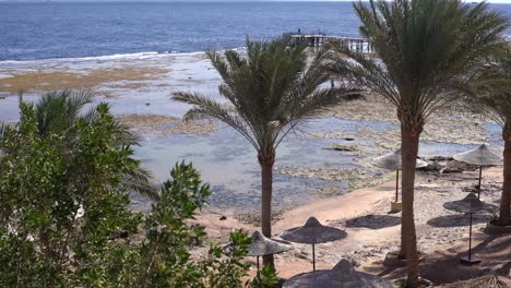 Verfallener-Pier-Im-Roten-Meer.-Insel-Tiran-Im-Hintergrund.