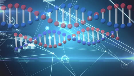 animación de la hilera de adn girando con una red de conexiones