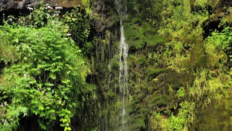 clean small waterfall in the forest. beautiful nature norway natural landscape.