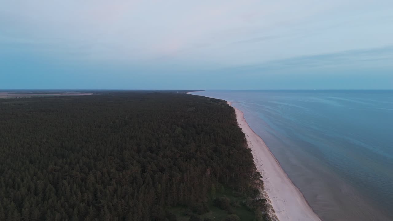 Ilmakuva Itämeren rannikosta aurinkoisena päivänä, aaltojen vahingoittamat rannikon dyynit, katkenneet männyt, rannikon eroosio, ilmastonmuutos, laajakulmainen dronekuva.