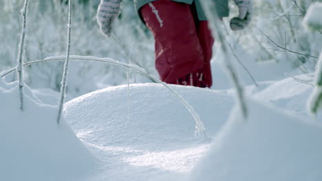 person with warm winter clothes walking through deep forest snow