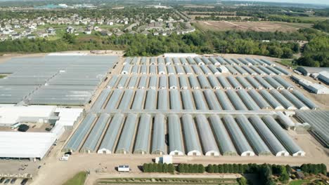 aerial, industrial greenhouse nurseries for agricultural farming growing food
