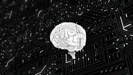 cervello grigio che ruota sulla scheda di circuito del computer