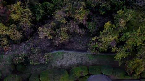 A-lush-forest-in-autumn-with-a-mix-of-green-and-fall-colors,-aerial-view