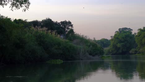 Ein-Kleiner-Kanal-Inmitten-Von-Bäumen,-Ein-Ruhiger-Kanal-Im-Sonnenuntergang