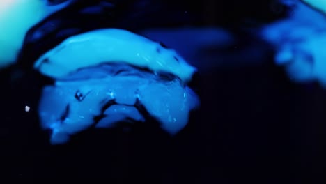 líquido azul reaccionando con hielo seco, creando humo