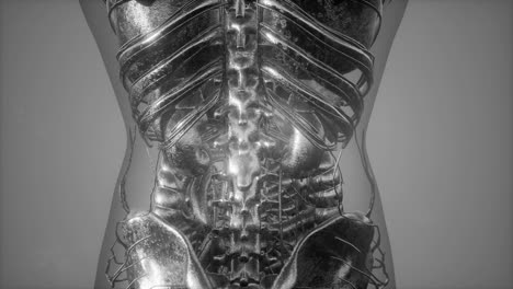 radiographic scan of homan bones