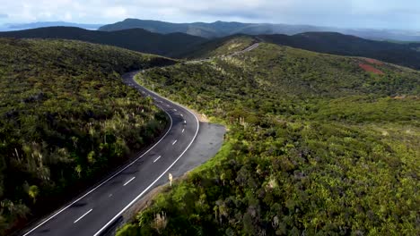 drone view of an empty winding road in between forest on a sunny day in cape reigna, northland, new zealand.