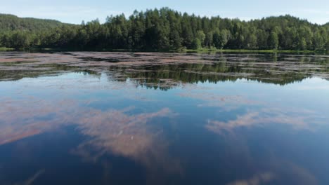 stillness