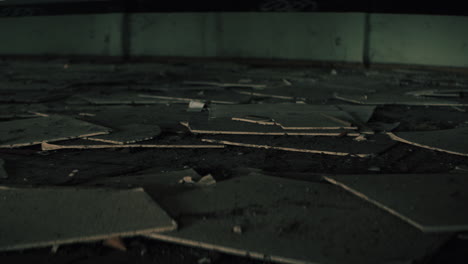 Ruined Interior Floor of an Abandoned Building