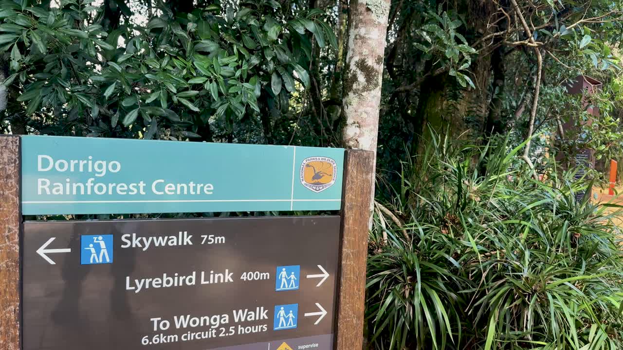 A handheld camera smoothly pans across a trail sign at Dorrigo Rainforest Centre, revealing lush greenery and natural forest surroundings in daylight