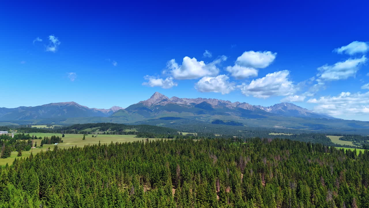 Pine tree forest growing in the valley. Spectacular Tatra mountains at backdrop. Aerial view