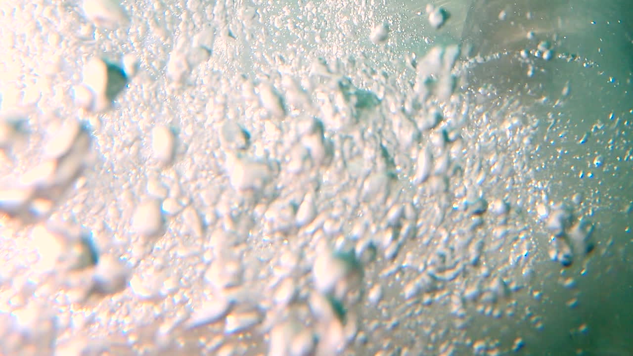 백상아리가 가까이 오도록 미끼를 받습니다 - 세로 방향