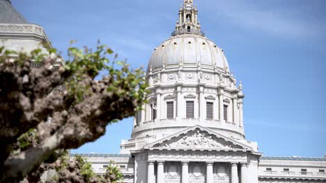 top view of the civic center and a tree