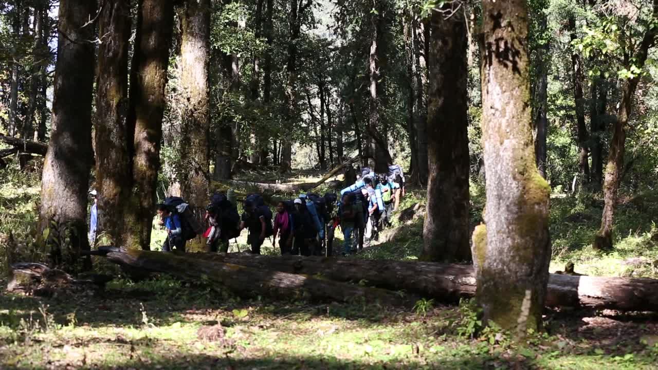 NIM Trekkers on their way to trail, passing through Jungles, Sal Forest. Nehru Institute of Mountaineering is rated as one of the best mountaineering institutes in India, upper Himalayas, Uttarakhand.