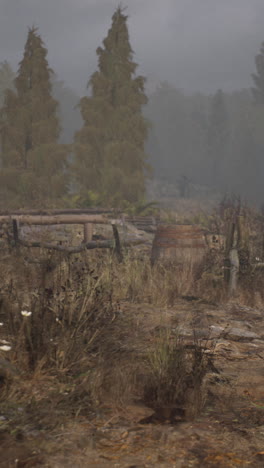 misty forest scene with barrel