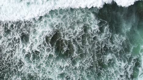 aerial view. aerial drone footage of ocean waves ,one turtle swimming in waves