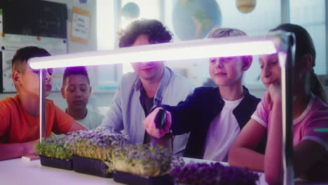 school children learning about growing microgreens