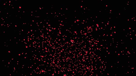 sakura petals falling down romantic pink red flowers falling rain loop background green screen love