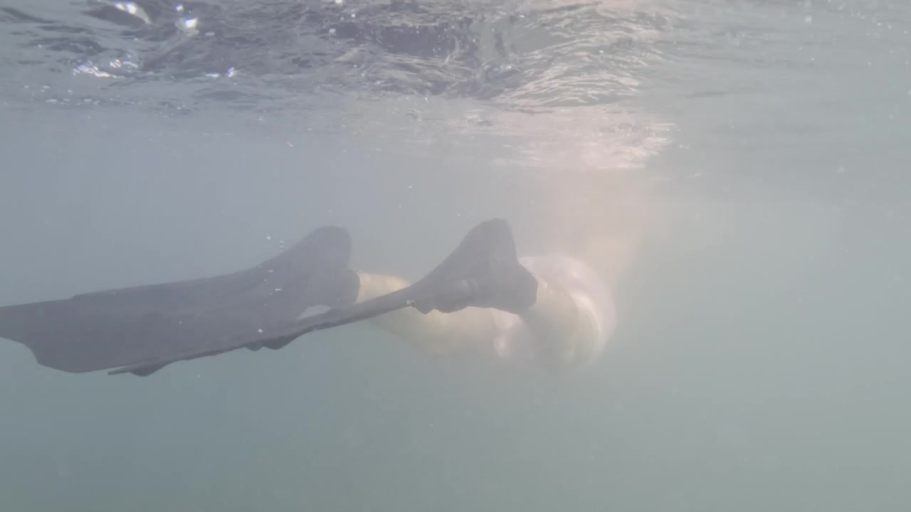 Swimmer's arm moving through clear water with light reflections on the surface and bubbles beneath