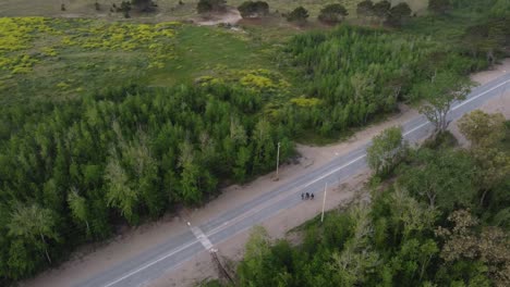 toma de órbita aérea de un grupo de personas caminando por una peligrosa y concurrida carretera rural en argentina
