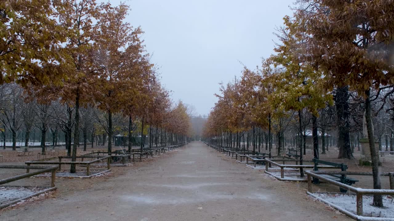 Winter Scene in Luxembourg Gardens with Snow Covered alley
