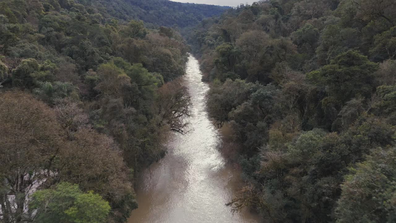Vista aérea da copa das árvores da selva, rio na floresta tropical e natureza densa