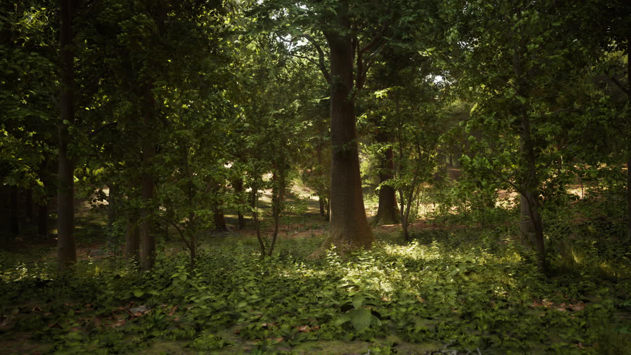 Una foresta verde lussureggiante piena di alberi alti