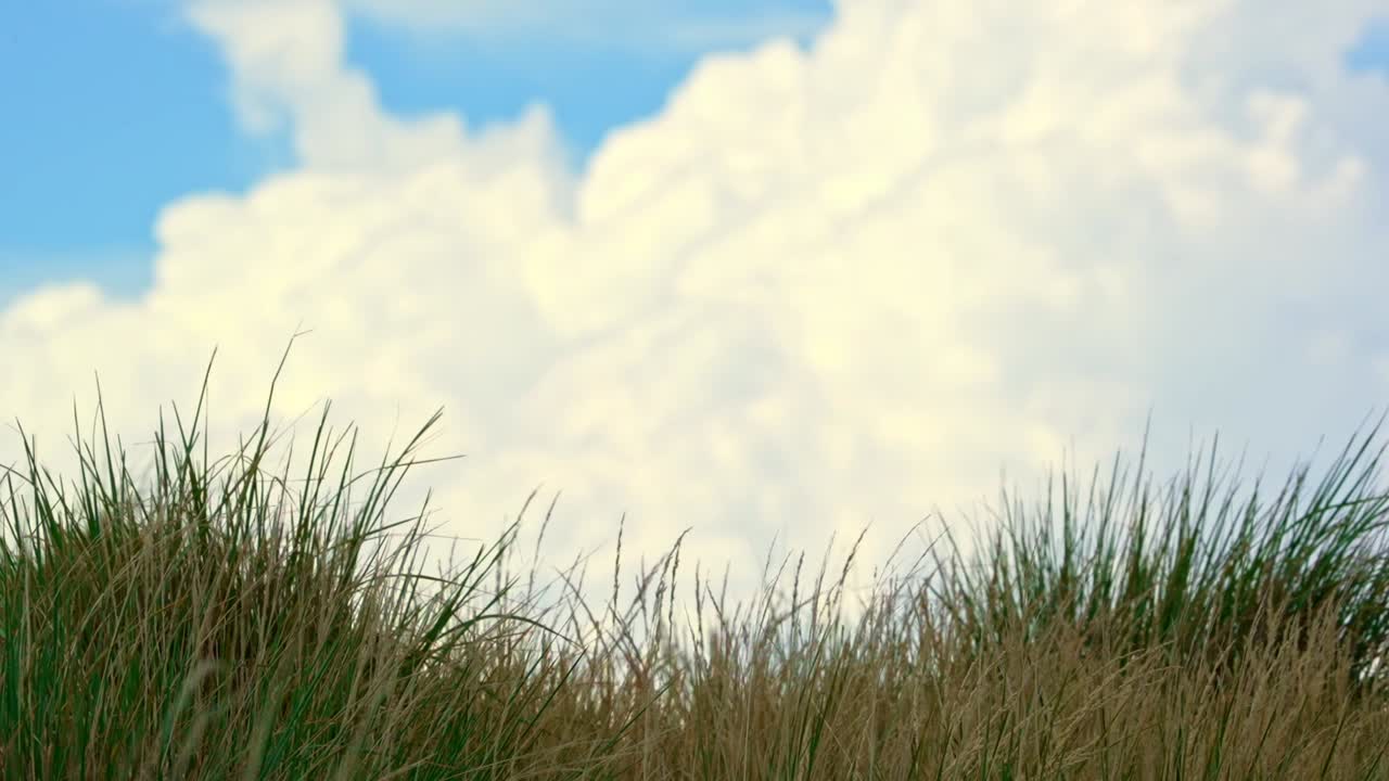 자연의 아름다움