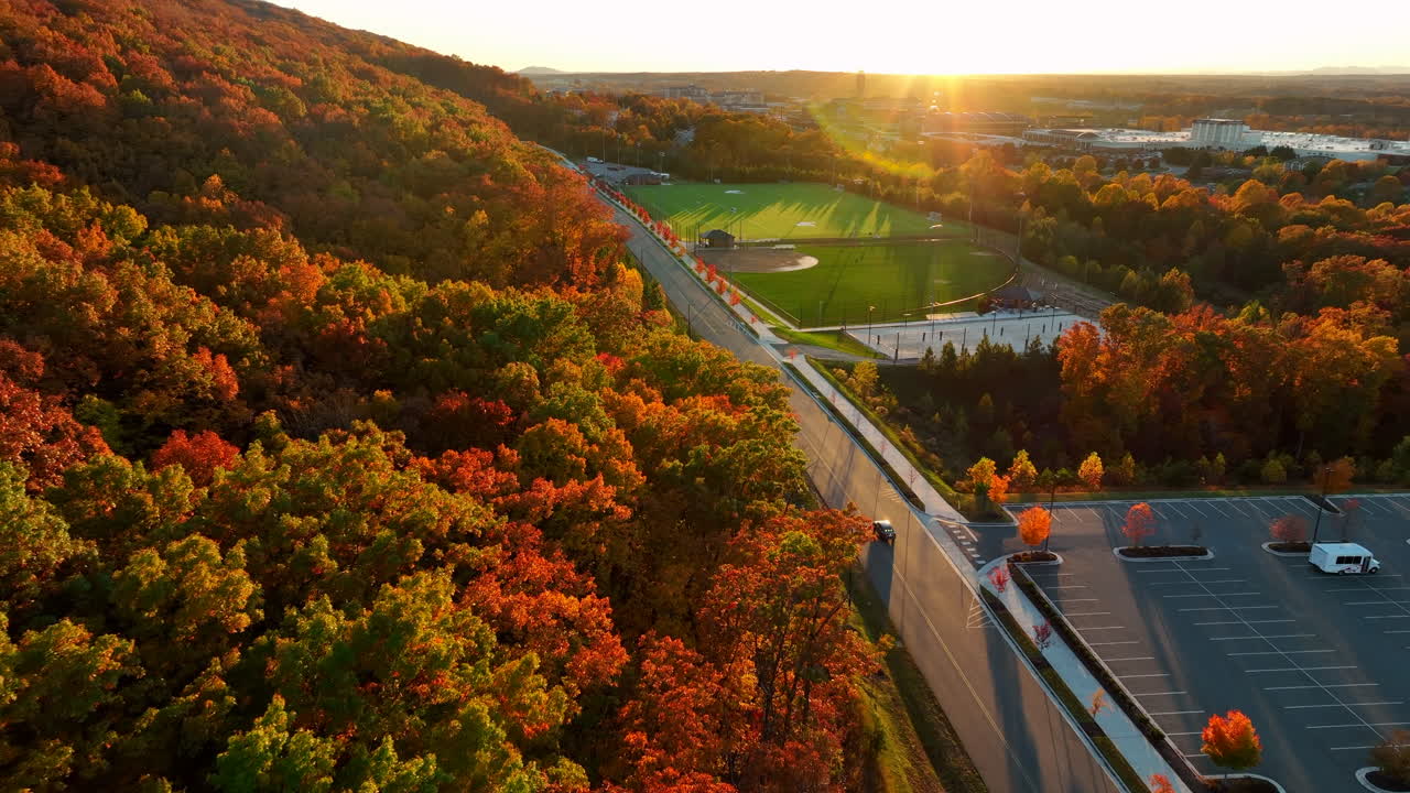 hermoso follaje de otoño en el bosque al atardecer