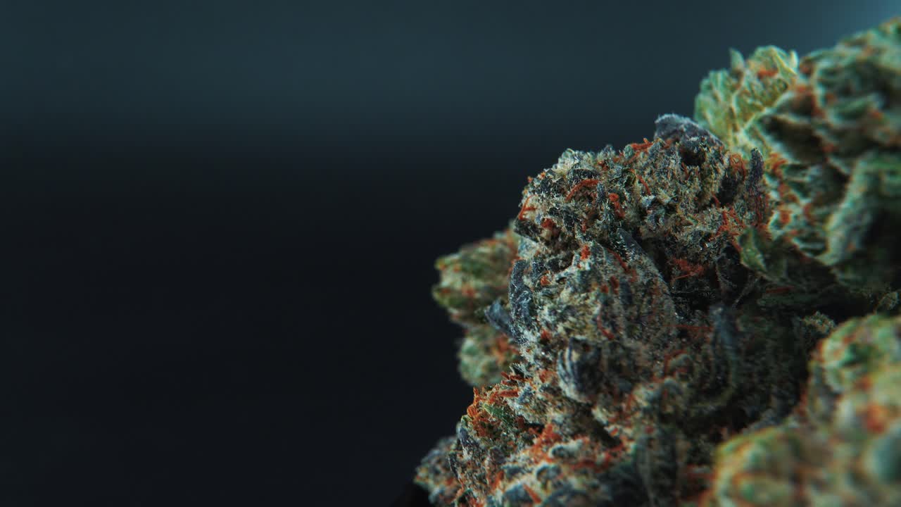 A macro close up cinematic detailed crispy shot of a cannabis plant, hybrid strains, Indica and sativa ,marijuana flower, on a 360 rotating stand, slow motion, 4K video, studio lighting