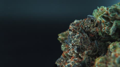 un macro primer plano cinematográfico detallado y crujiente de una planta de cannabis, variedades híbridas, indica y sativa, flor de marihuana, en un soporte giratorio de 360 grados, cámara lenta, video 4k, iluminación de estudio