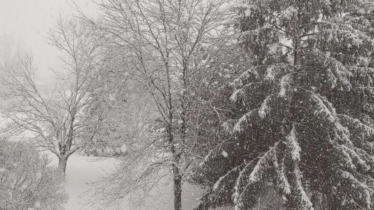 Neve nel Paese delle Meraviglie invernali