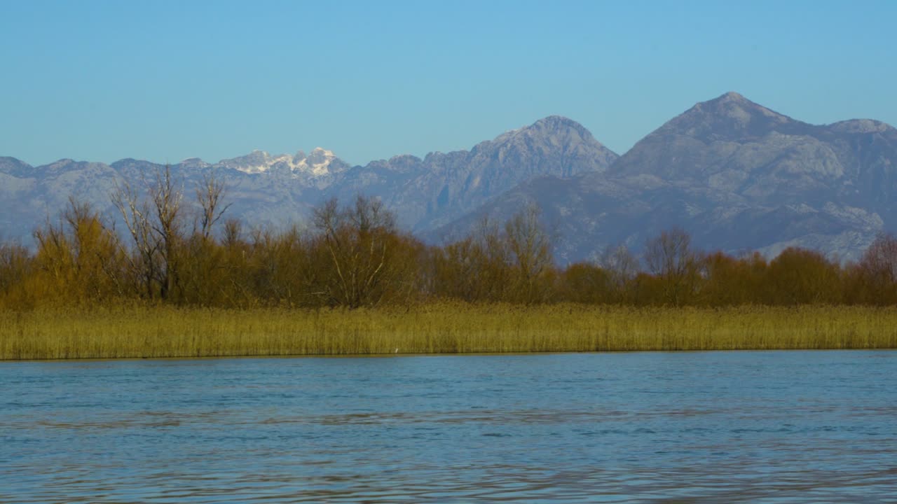 River streaming alongside of dry yellow reeds and brown trees forest with Alps mountains background on a clear bright sky