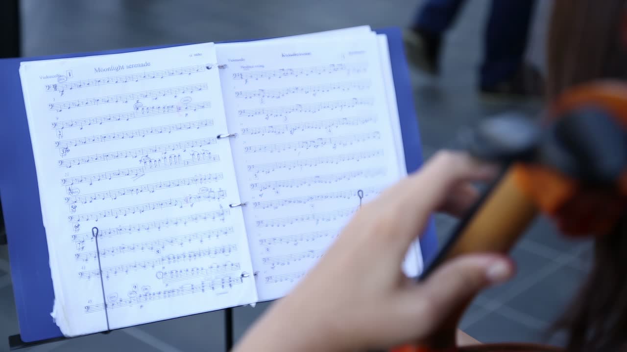 A musician plays the contrabass