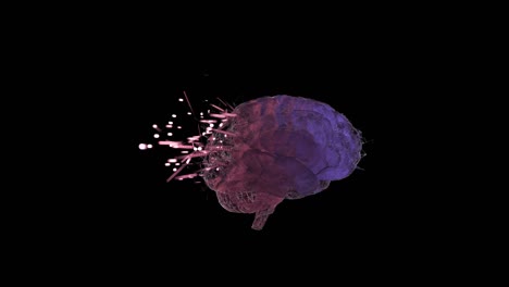animación 3d de las neuronas del cerebro arruinando, causando enfermedad mental trastorno de la personalidad.