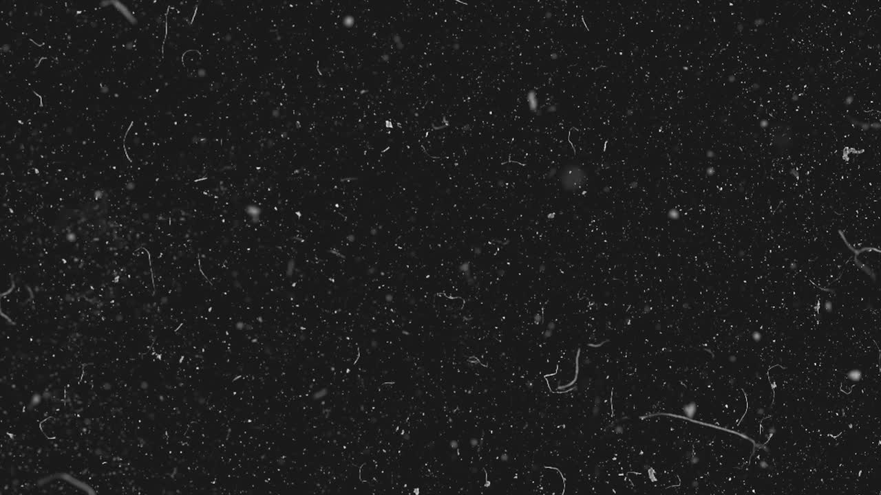 polvo y arañazos en fondo negro