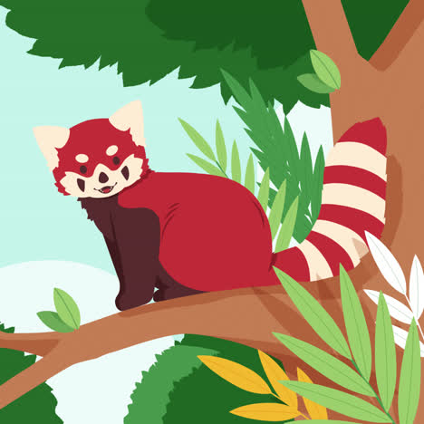 red panda in a tree