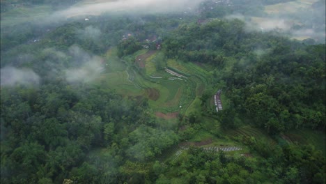 Balinesische-Reisterrasse-Im-Bergdschungel-Indonesiens-Mit-Nebel,-Filmische-Antenne