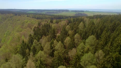 Vista-Aérea-Impresionante-De-Densos-árboles-Verdes-Del-Bosque---Vista-Aérea-De-Drones