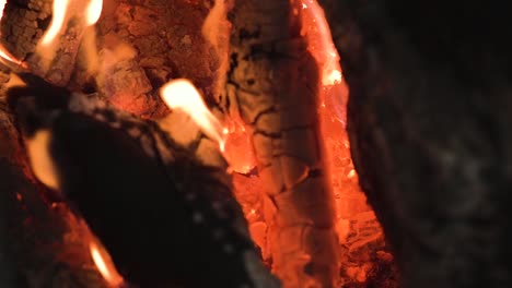 burning firewood with rough surface and bright blaze