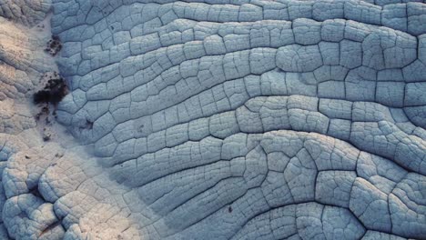 rough texture of white stone cliffs in usa