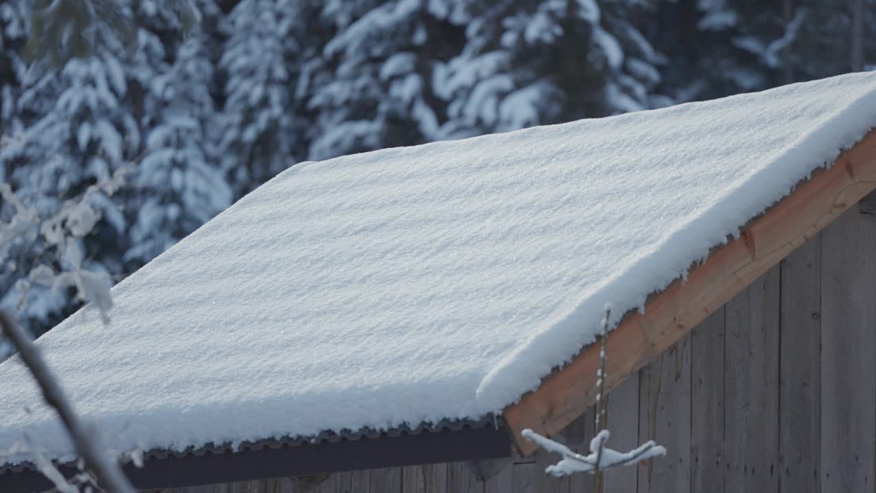 A wooden cabin roof lies evenly covered with fresh snow as winter light highlights the smooth surface, with frosted evergreen trees forming a soft, blurred forest background